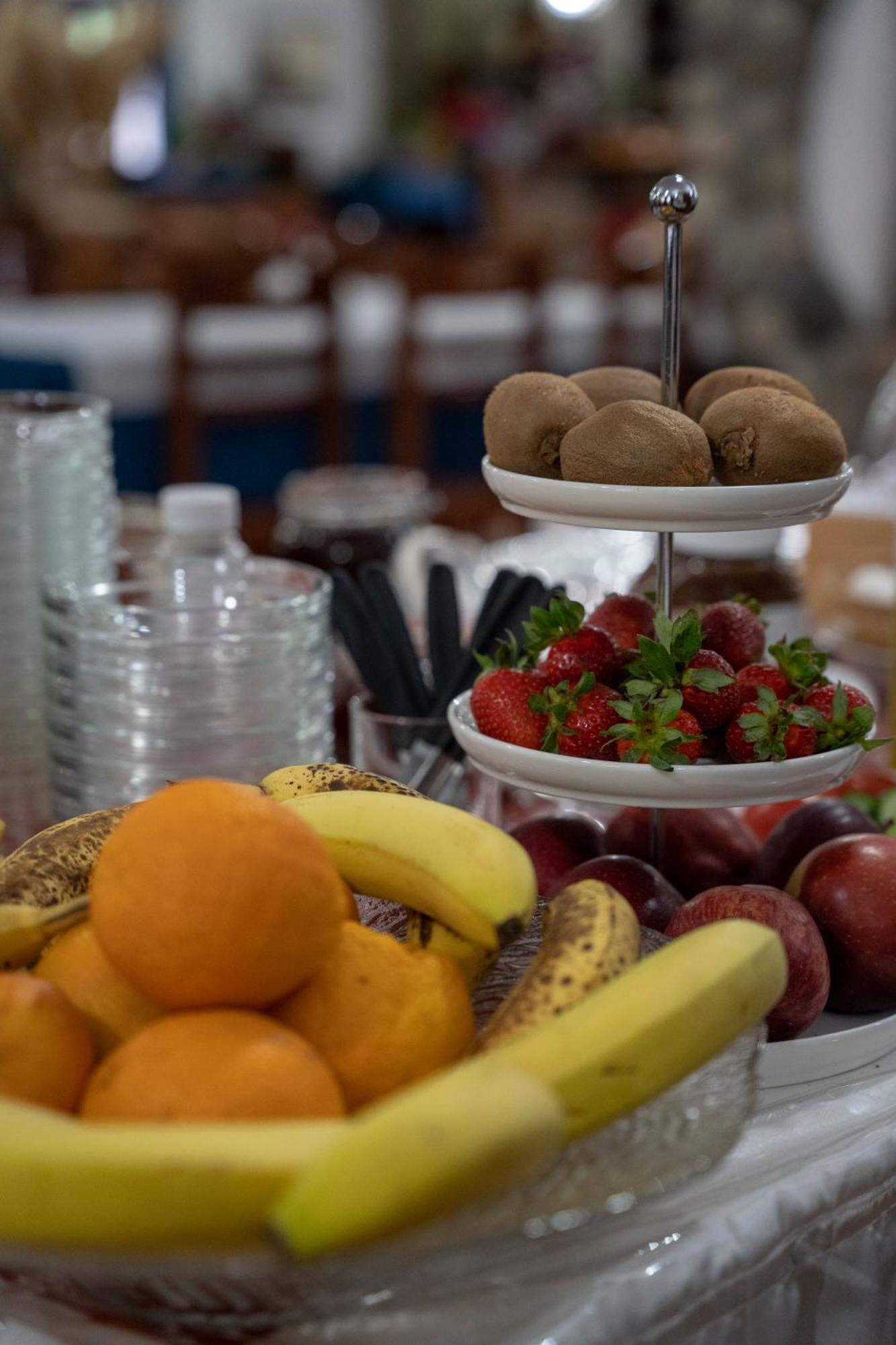 Πανσιόν πηνέας Καλαμπάκα